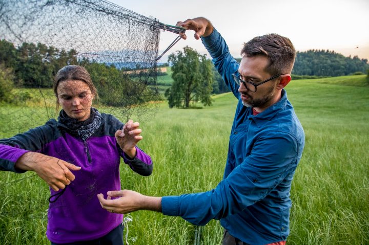 Ziegler_S9I4468 copy