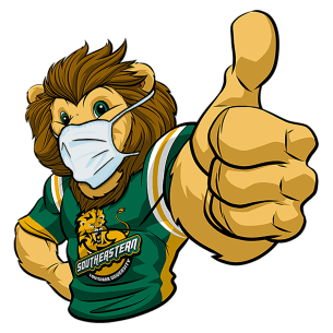 Surgical Mask Roomie